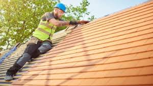 Best Roof Maintenance and Cleaning  in Village Of Four Seasons, MO